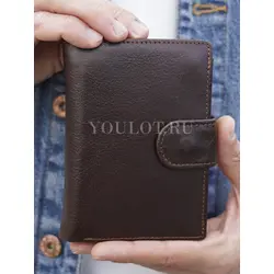 Портмоне мужское для денег и карт кожаное Briefcase 9050 BR