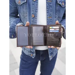 Портмоне мужское для денег и карт кожаное Briefcase 9050 BR