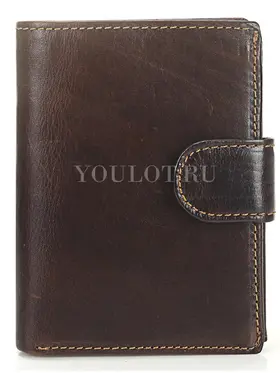 Портмоне мужское для денег и карт кожаное Briefcase 9050 BR