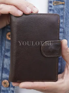 Портмоне мужское для денег и карт кожаное Briefcase 9050 BR